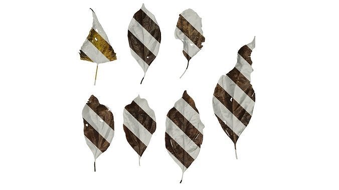 Anydrafts Assorted Plant 66 Leaf 01 Texture