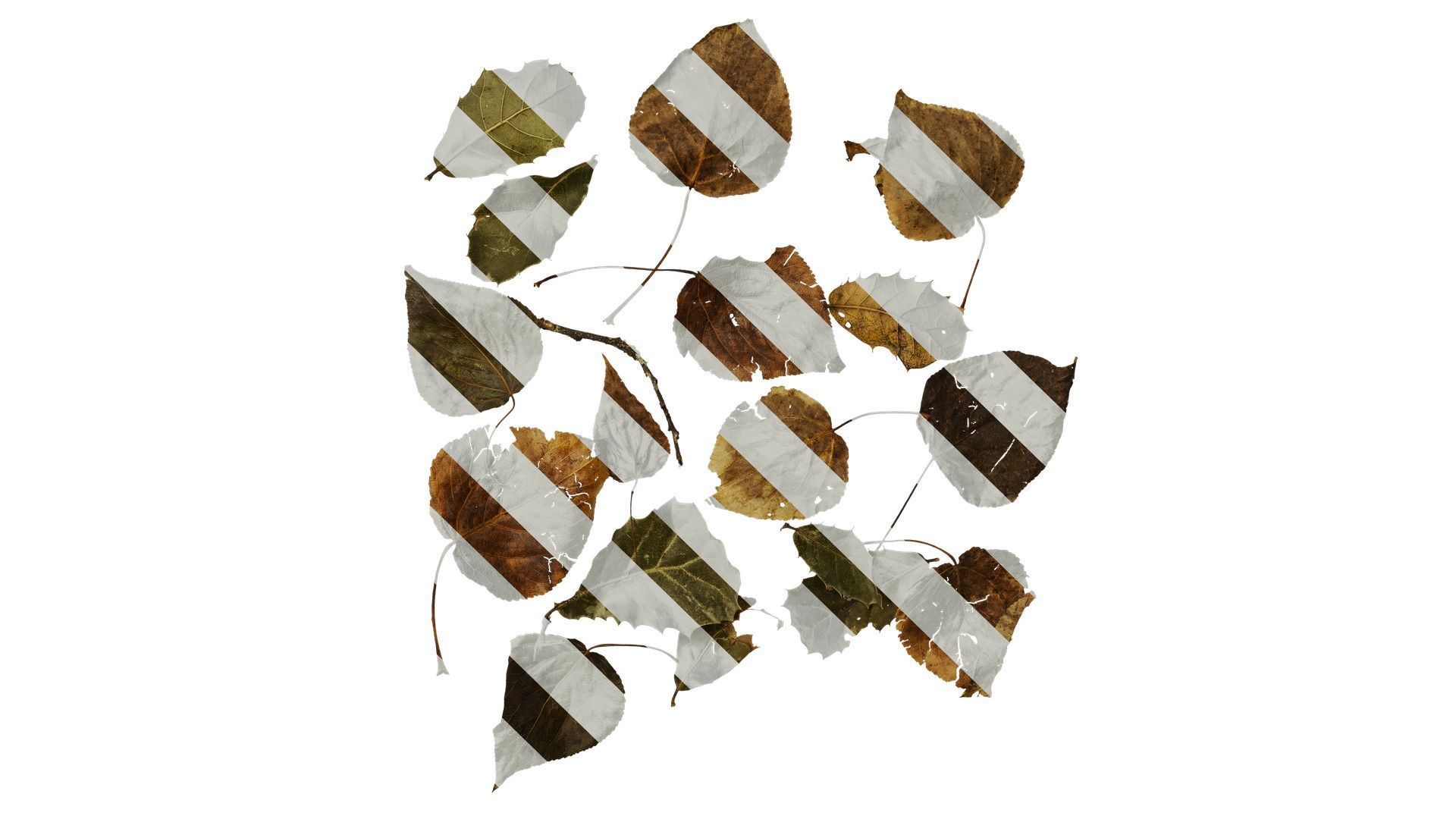 Anydrafts Assorted plant 68 Leaf 02 Texture