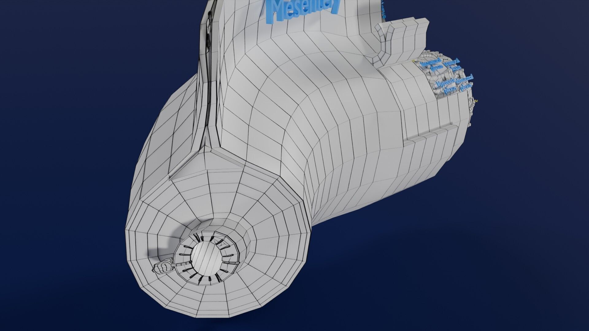 Intestinal wall layers anatomy labelled Low-poly 3D model_44