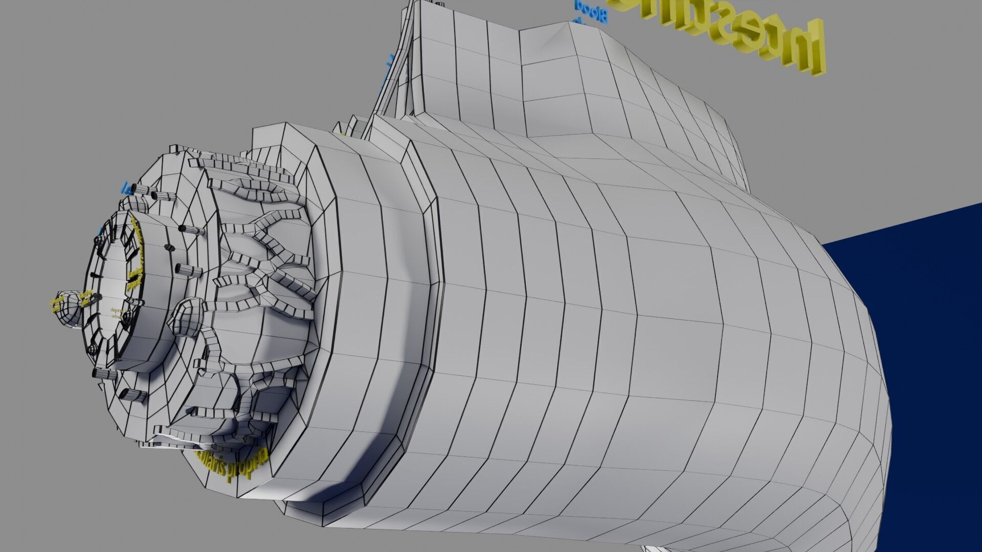 Intestinal wall layers anatomy labelled Low-poly 3D model_55