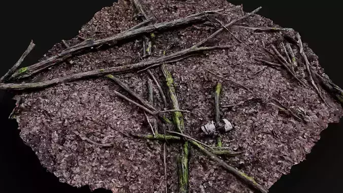 forest ground trees branches debris pt1 photogrammetry