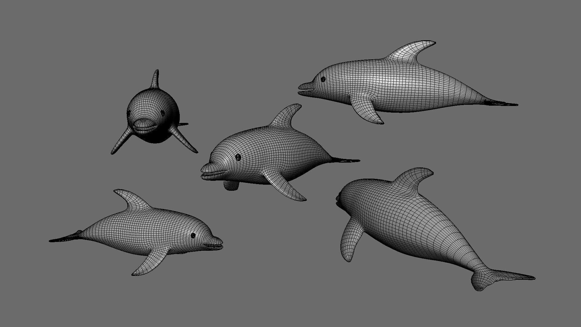 Low Poly - Cartoon Dolphin Rigged Low-poly 3D model_4