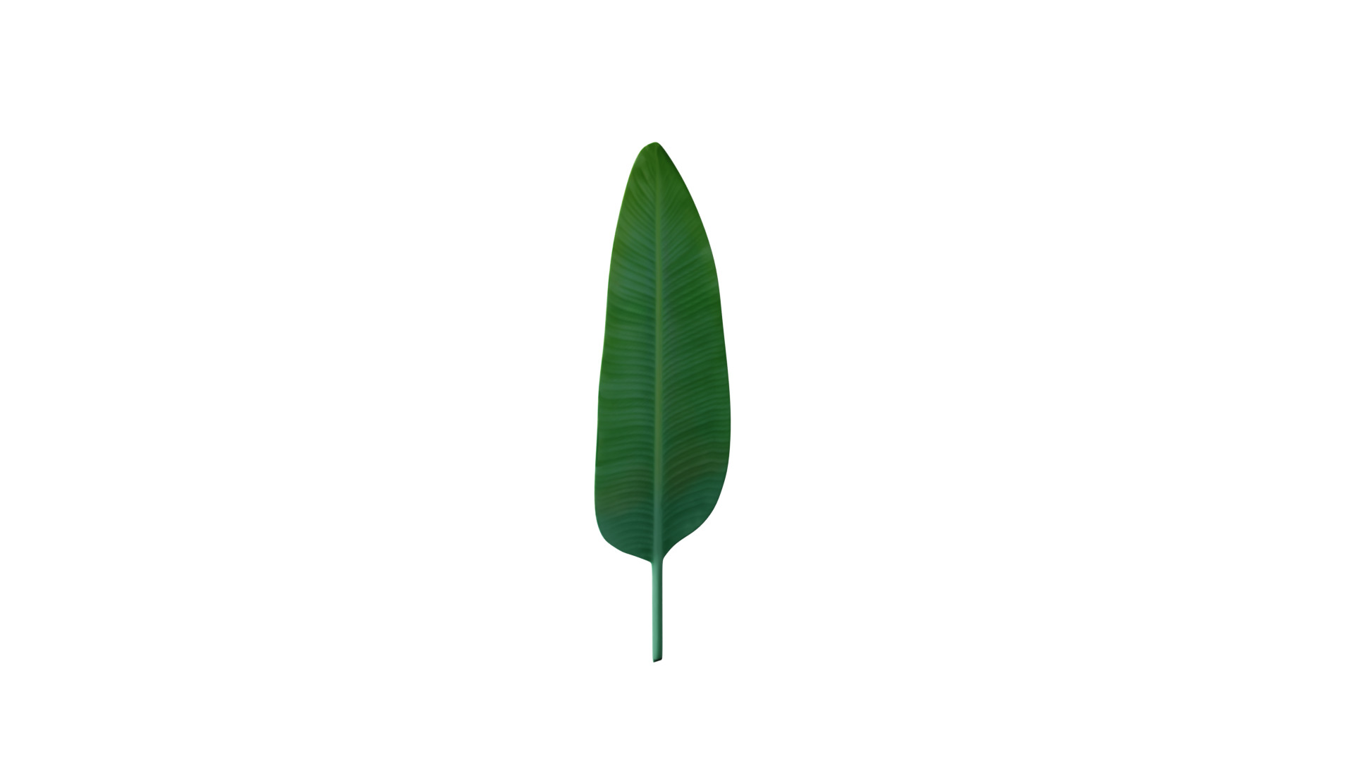 Big Leaf Low-poly 3D model_4