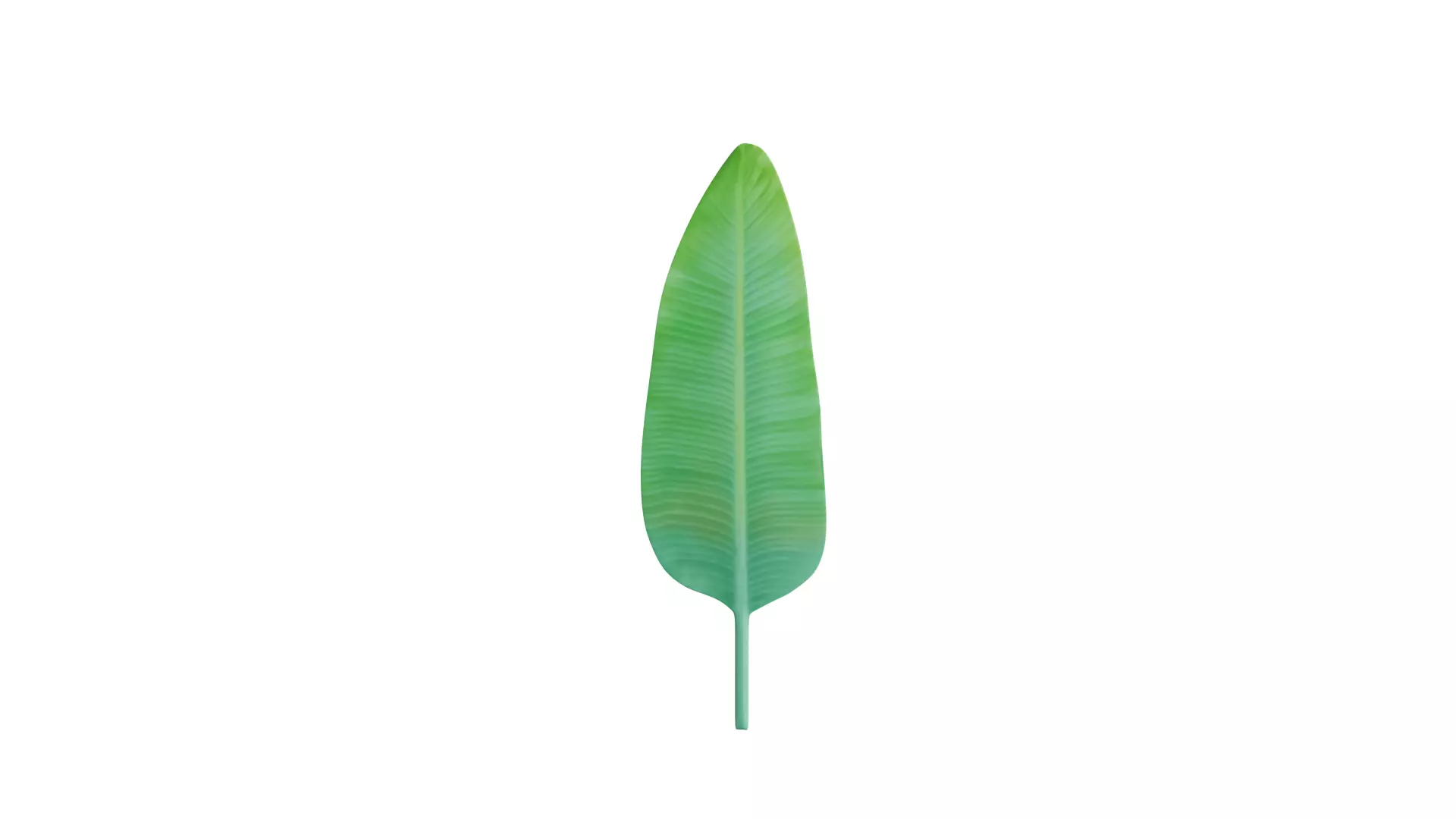 Big Leaf Low-poly 3D model_0