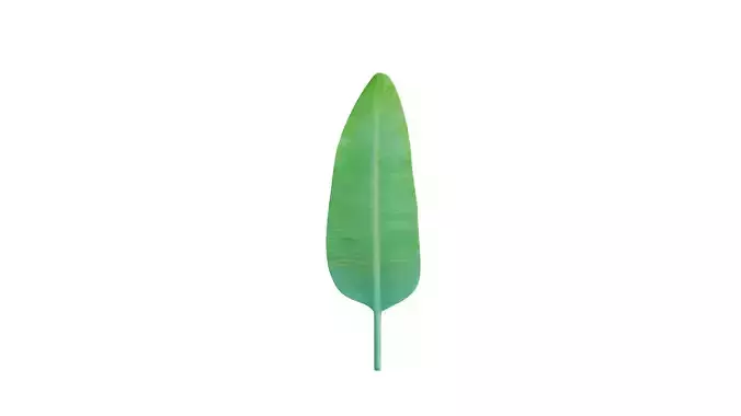 Big Leaf Low-poly 3D model