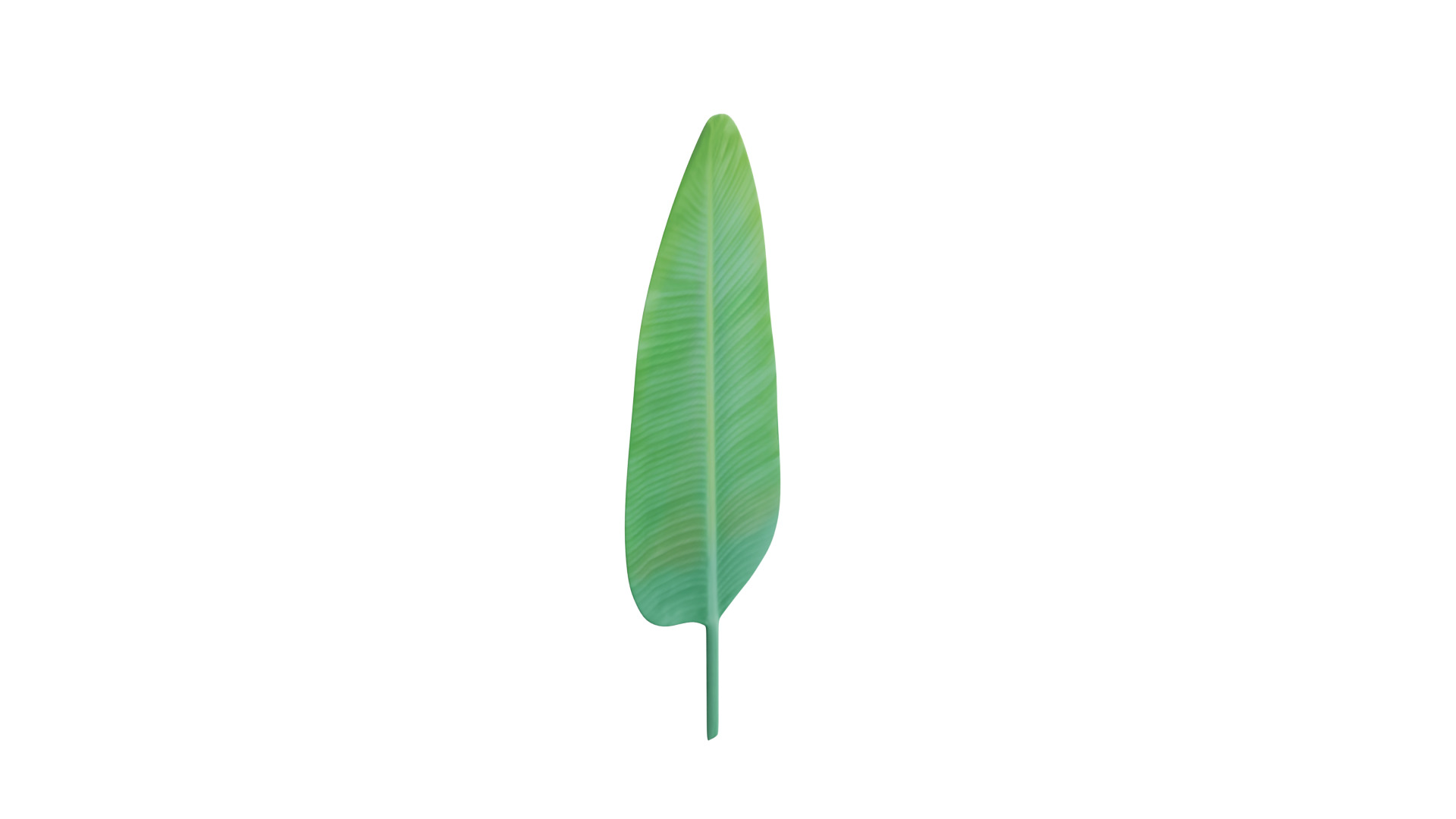 Big Leaf Low-poly 3D model_9