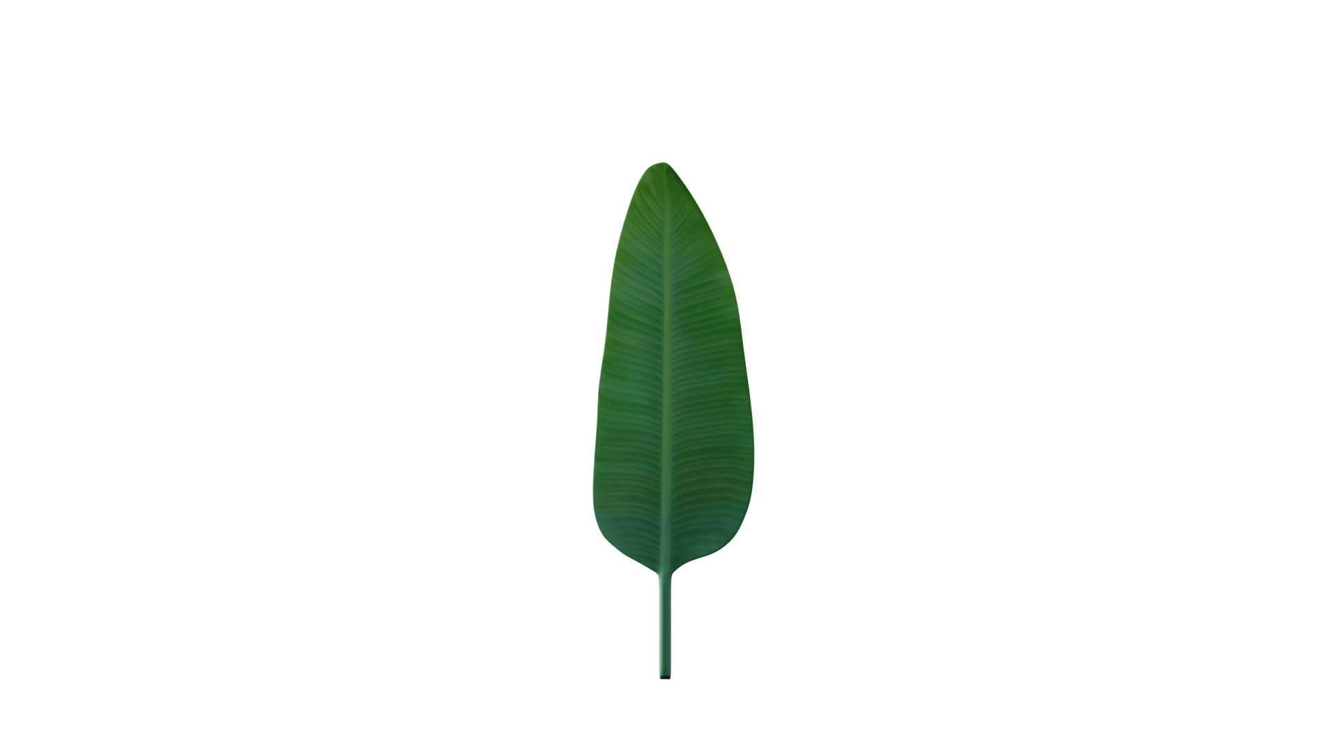 Big Leaf Low-poly 3D model_3