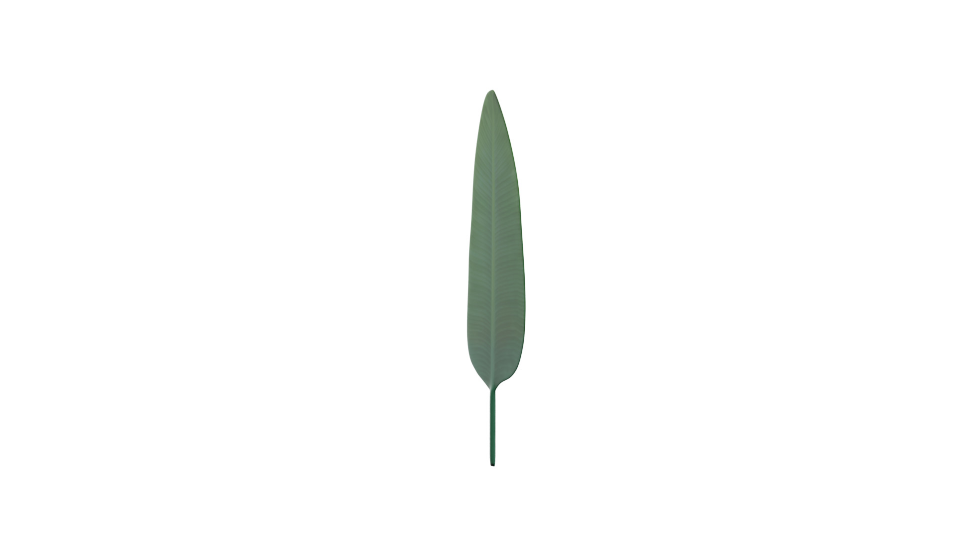 Big Leaf Low-poly 3D model_2