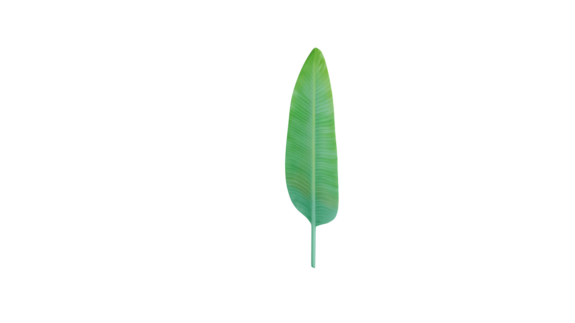 Big Leaf Low-poly 3D model_5