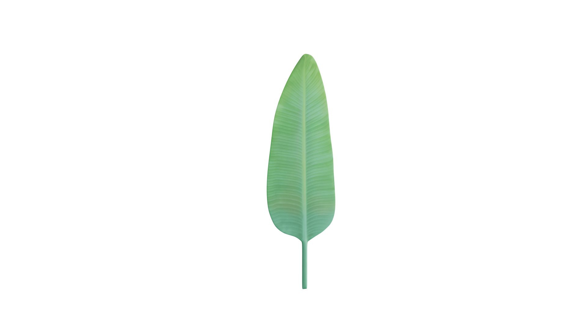 Big Leaf Low-poly 3D model_1
