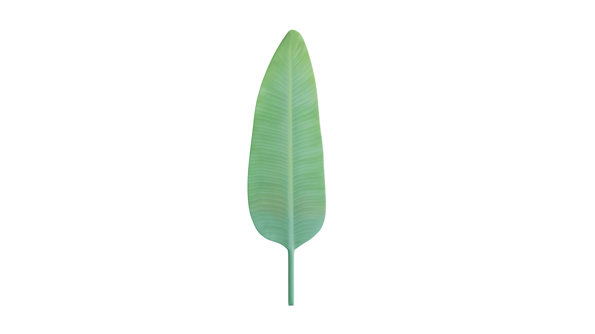 Big Leaf Low-poly 3D model_8