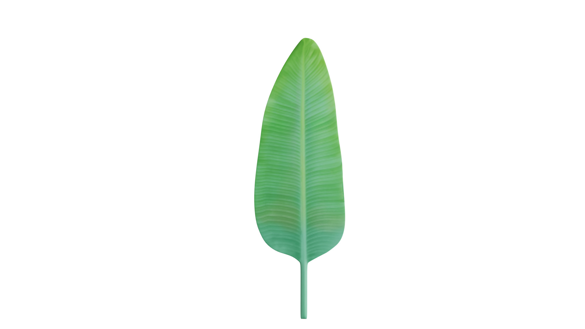 Big Leaf Low-poly 3D model_6