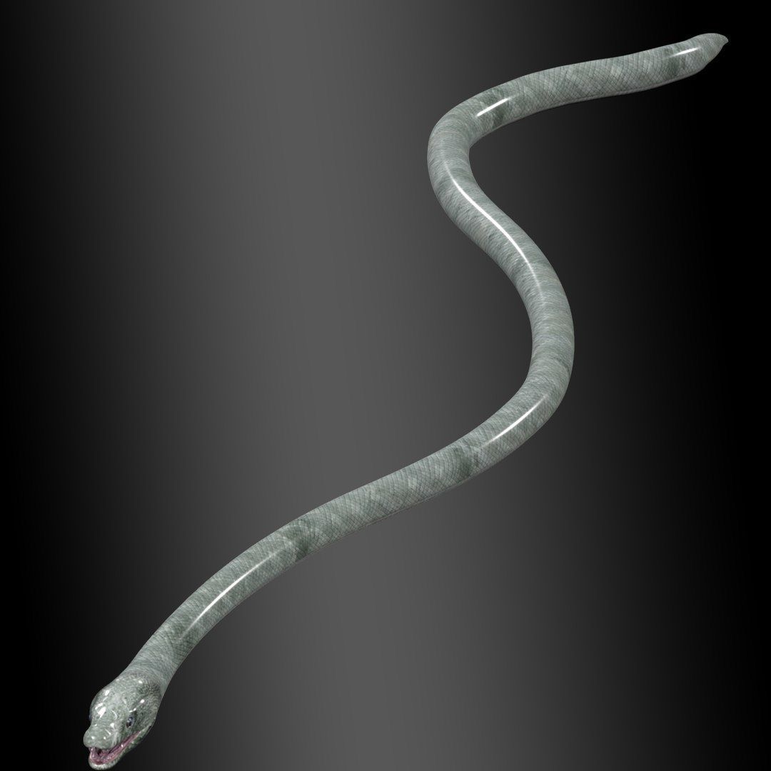Ultimate Snake 3D Model Collection _15