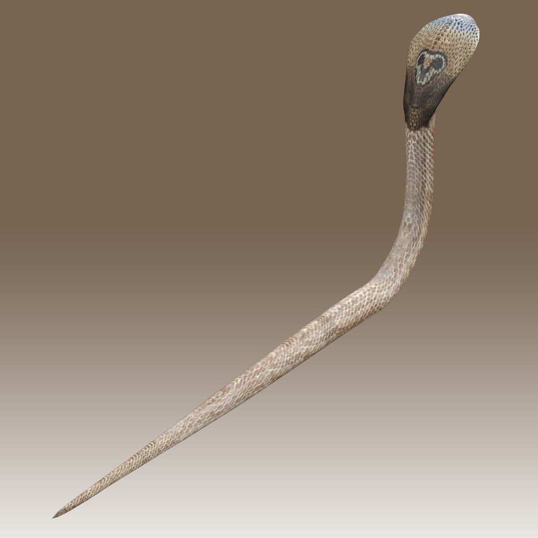 Ultimate Snake 3D Model Collection _21