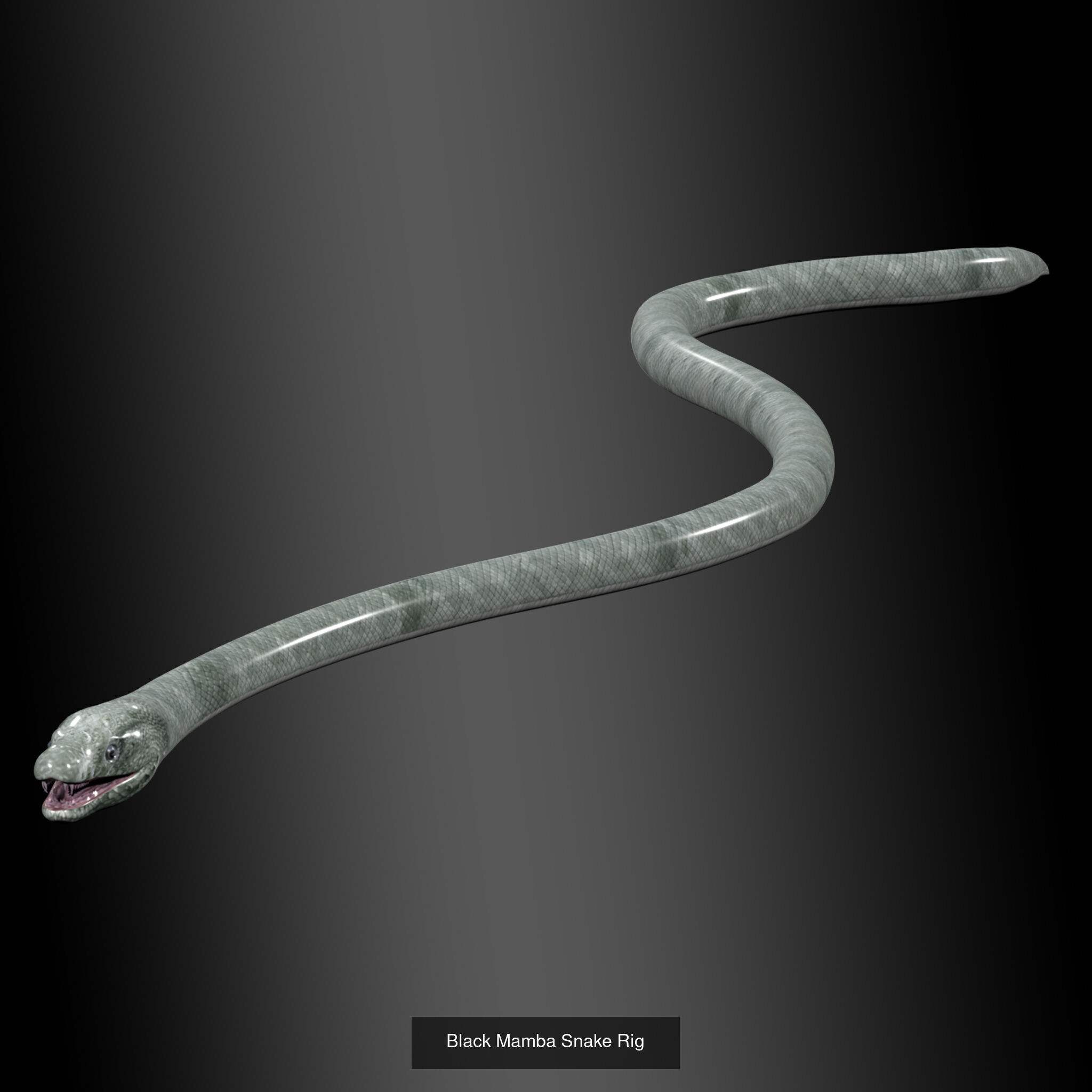 Ultimate Snake 3D Model Collection _7