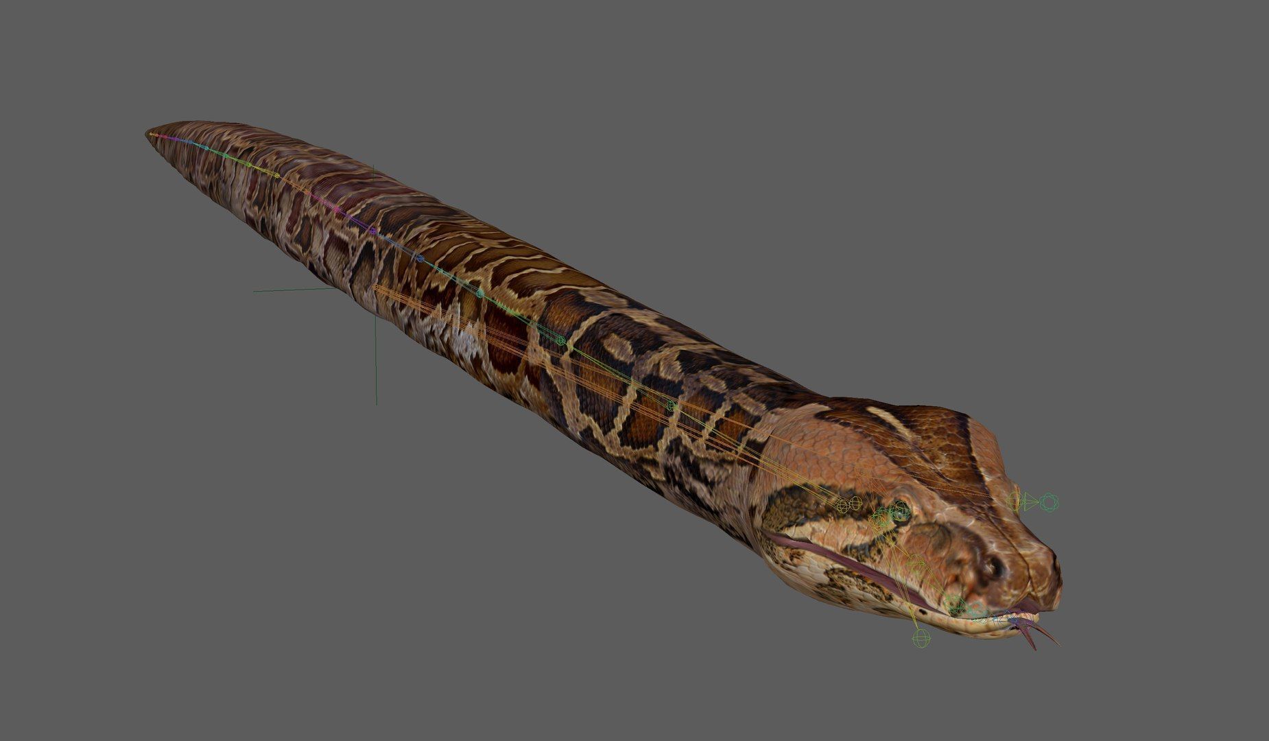 Ultimate Snake 3D Model Collection _11