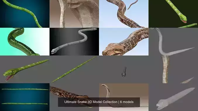 Ultimate Snake 3D Model Collection