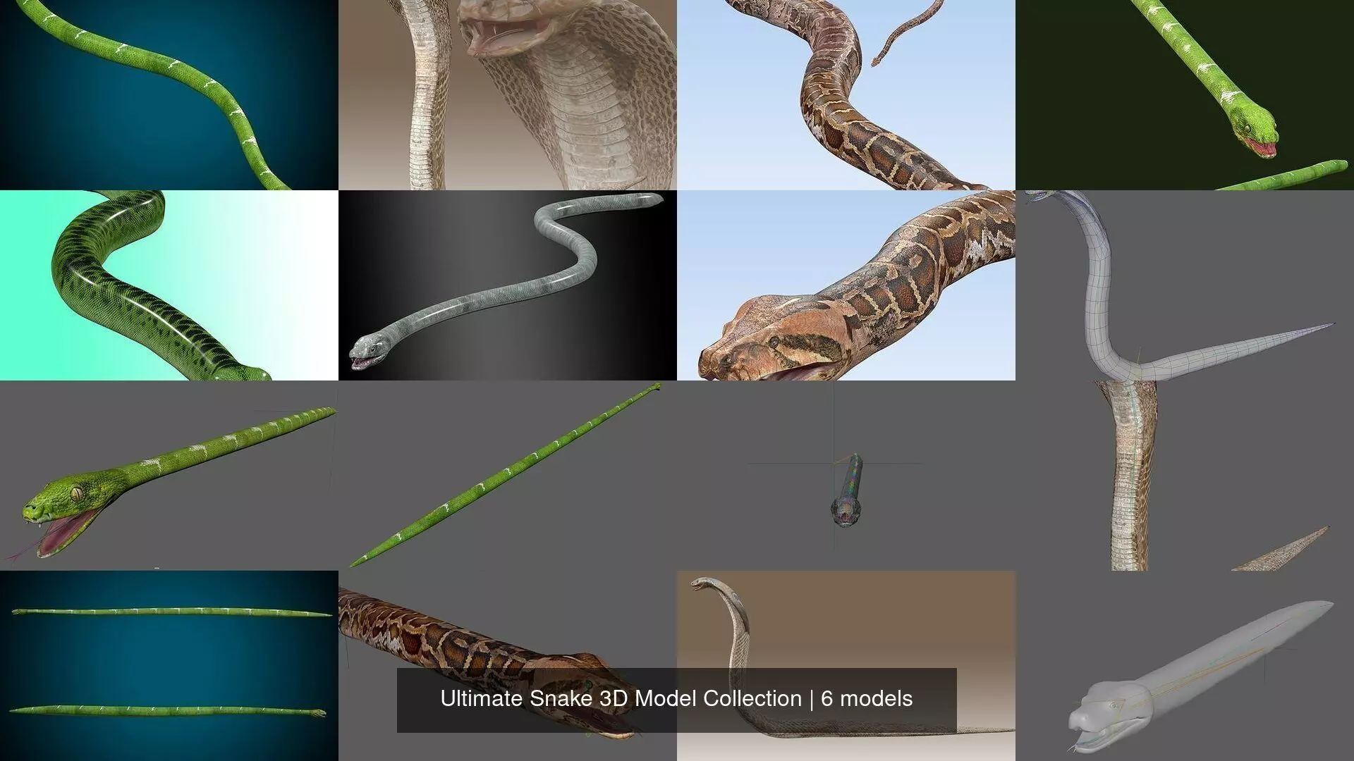 Ultimate Snake 3D Model Collection _1