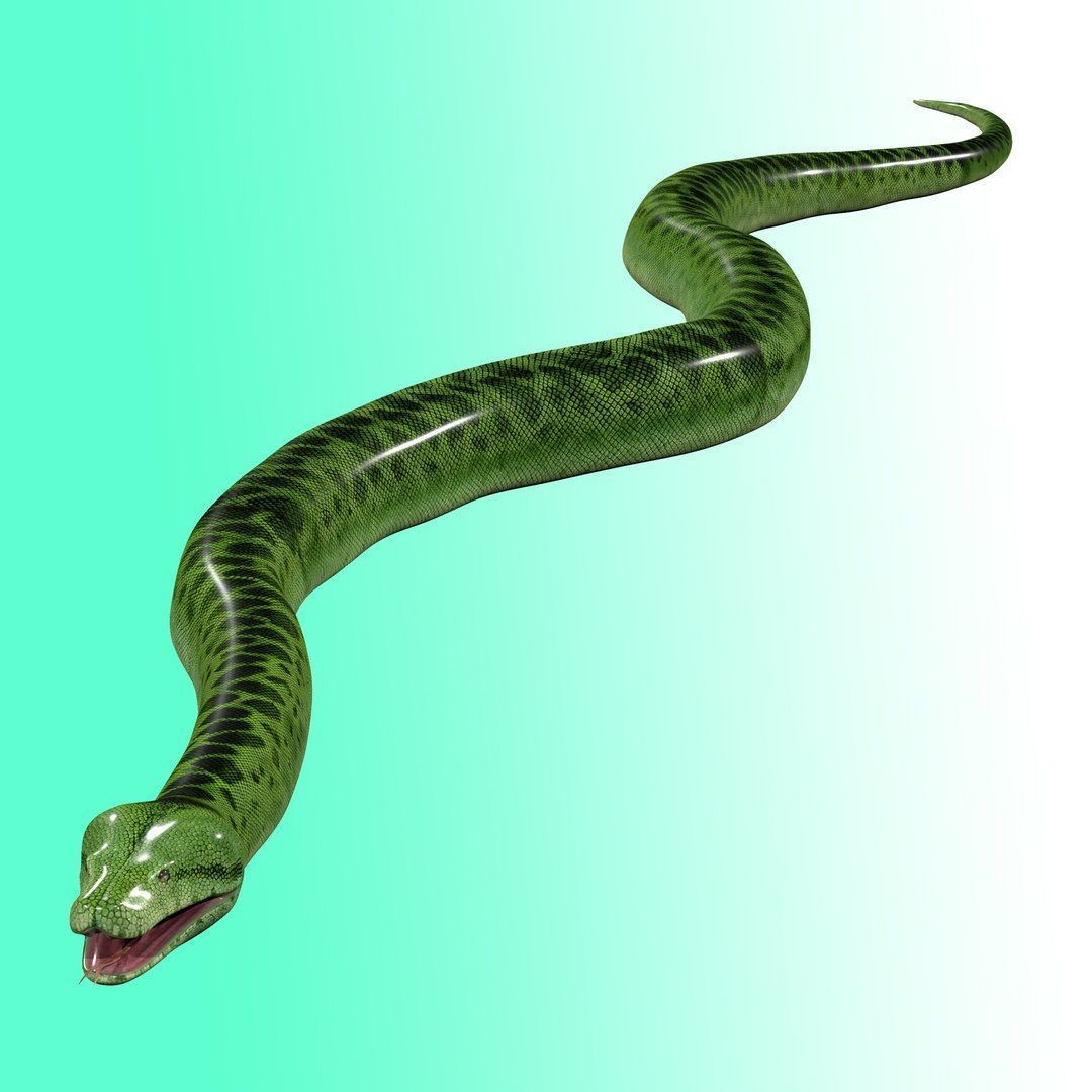 Ultimate Snake 3D Model Collection _17