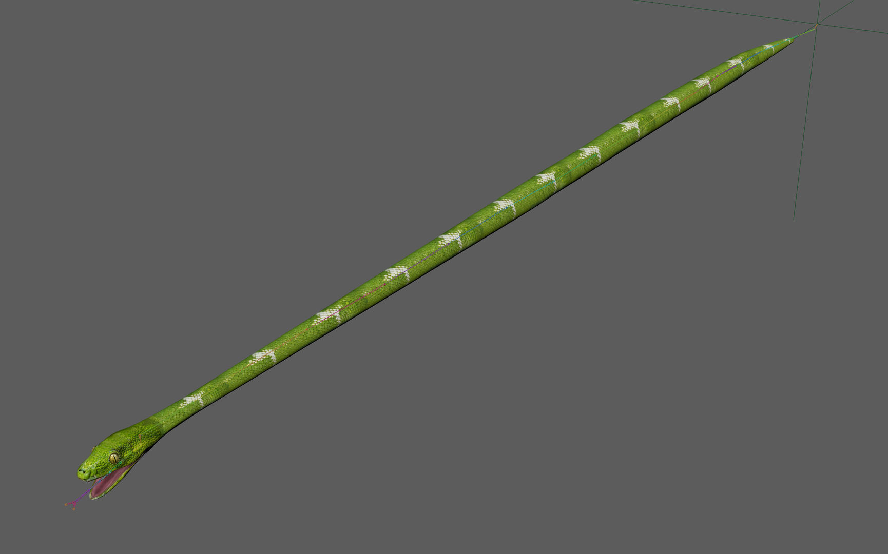 Ultimate Snake 3D Model Collection _9