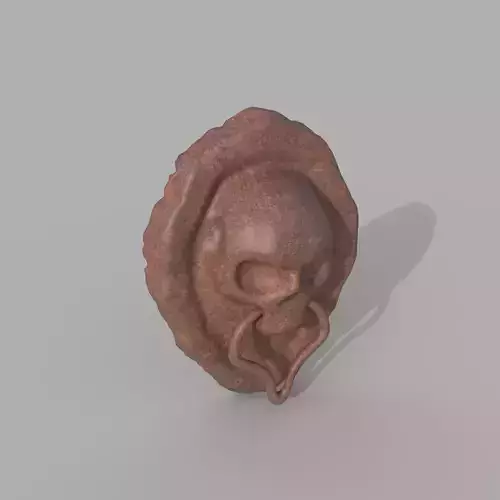 Skull door knocker 3D model