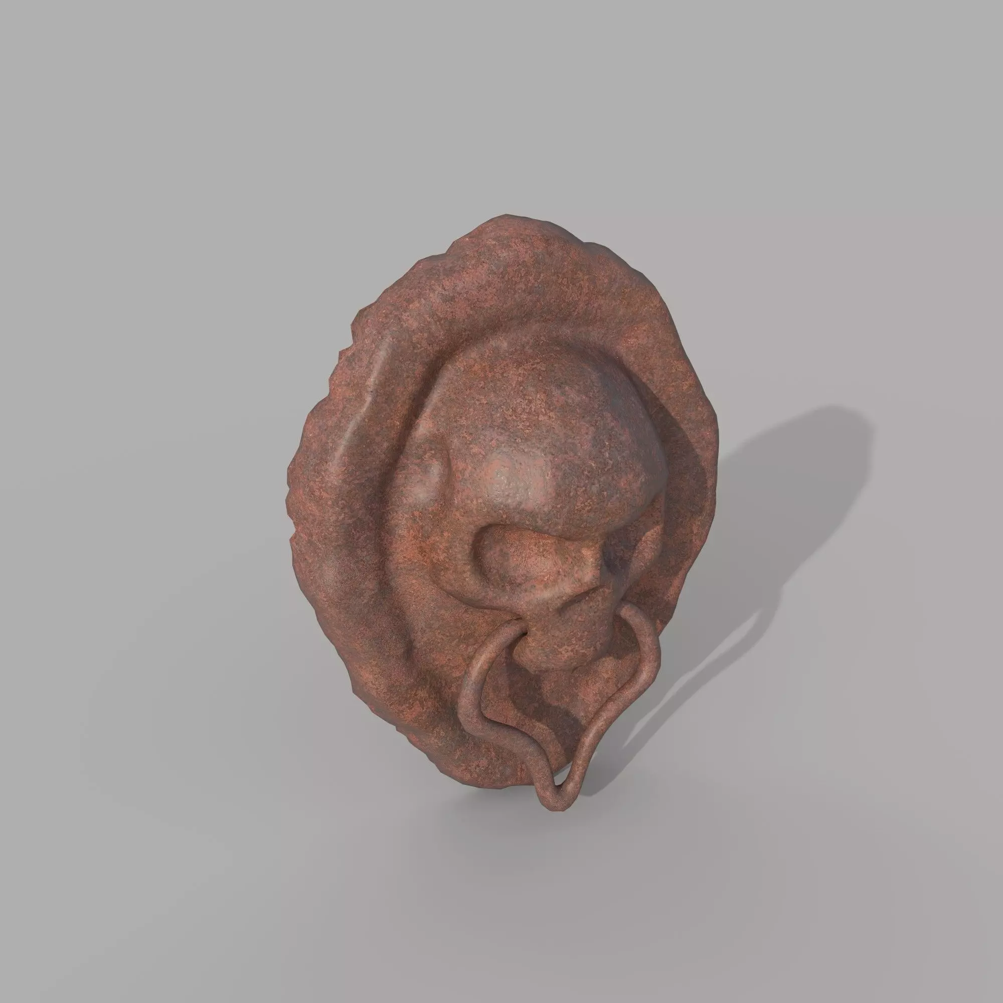 Skull door knocker 3D model_0
