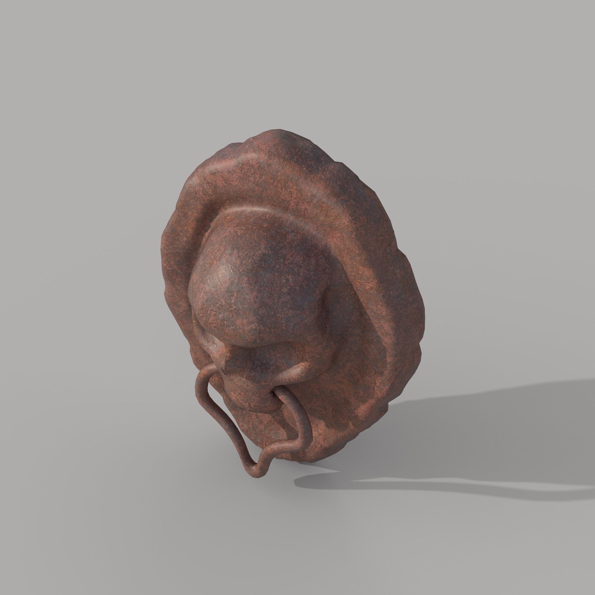 Skull door knocker 3D model_2