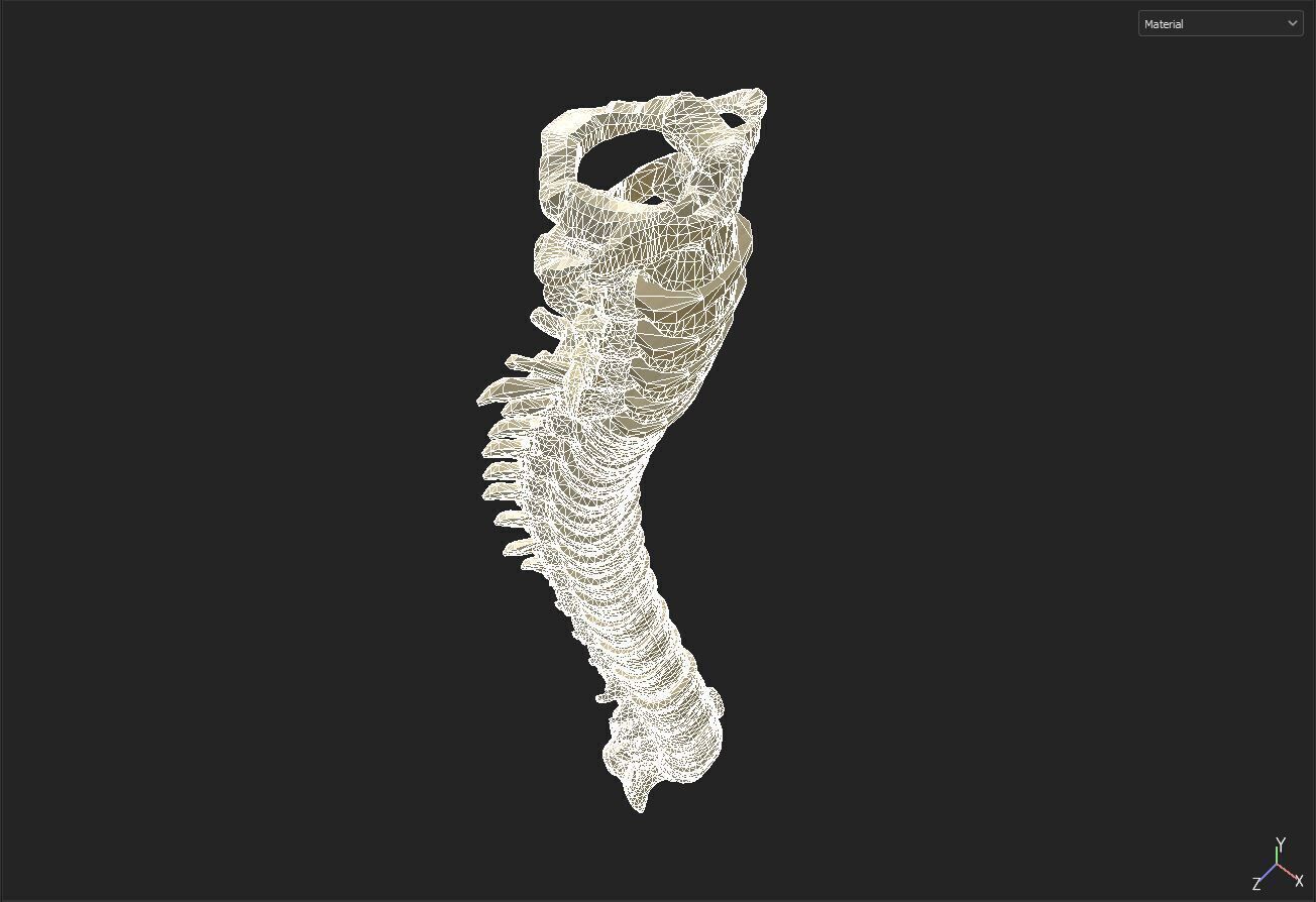 spine collection of thunthu 3D model_8