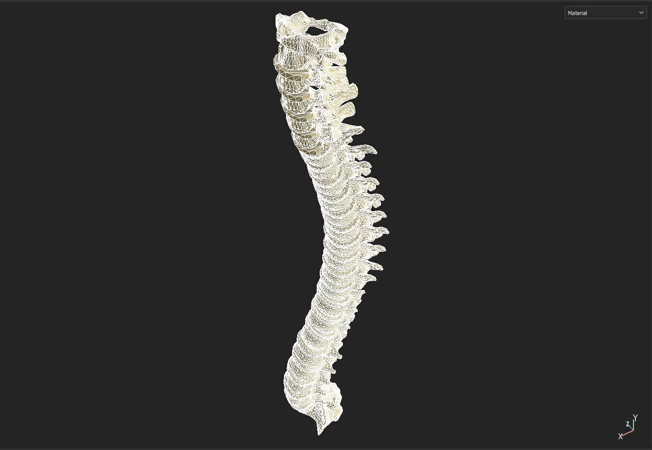 spine collection of thunthu 3D model_5