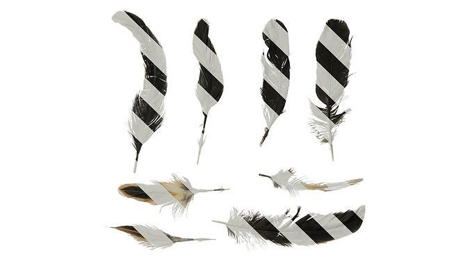 Anydrafts Chicken feather 01 Texture