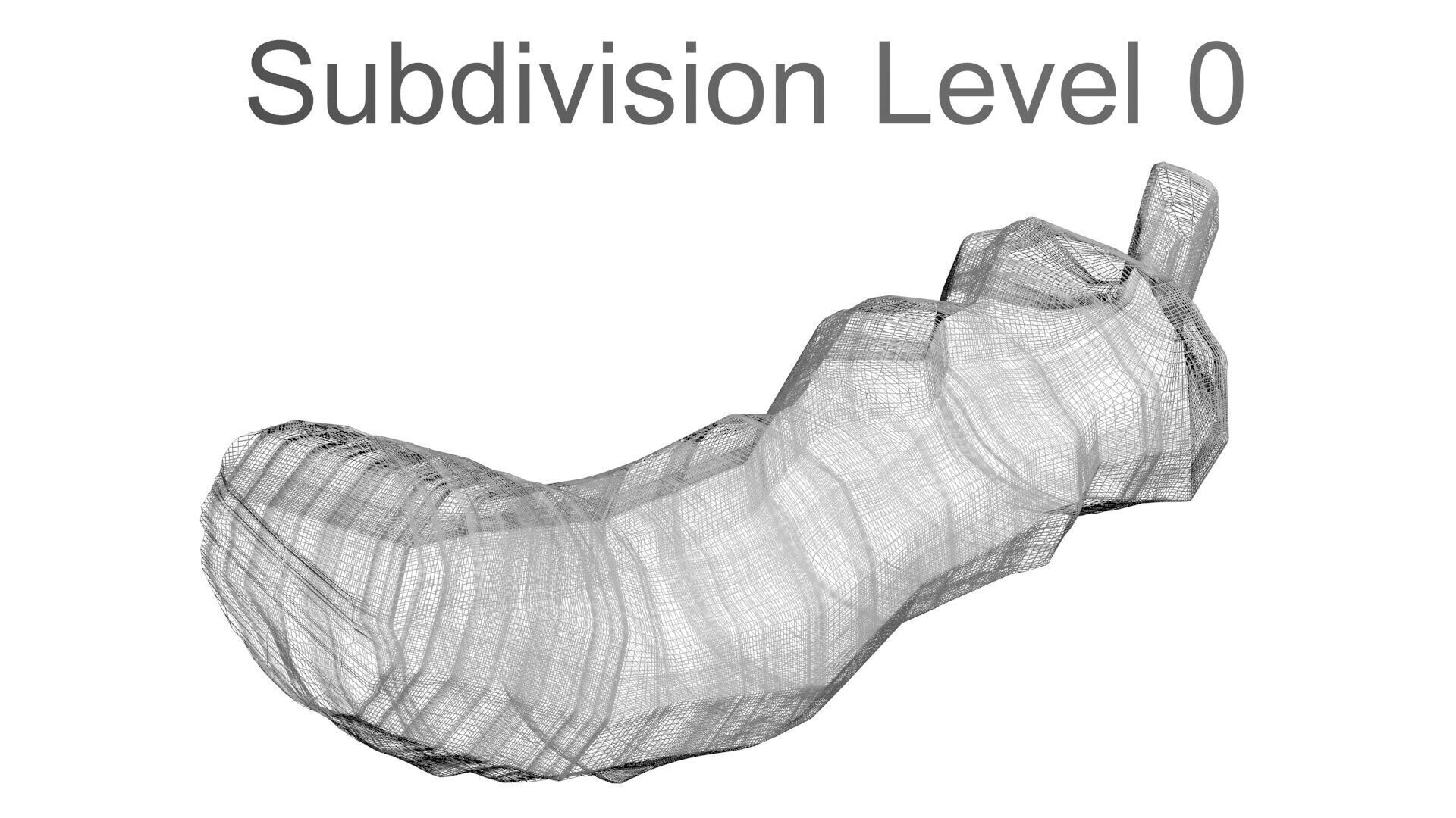 Dunkleosteus Tooth 3D model_32