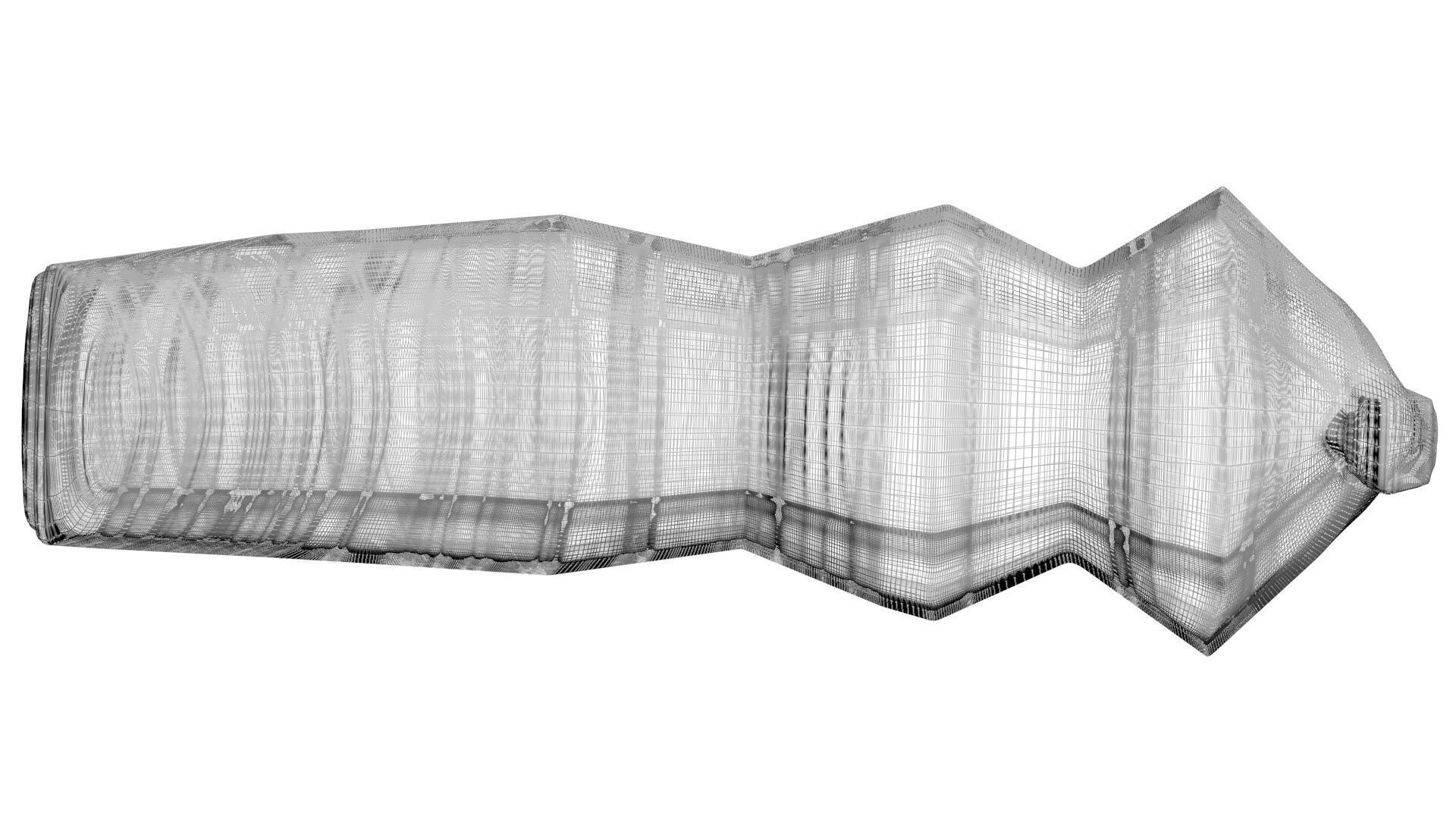 Dunkleosteus Tooth 3D model_25