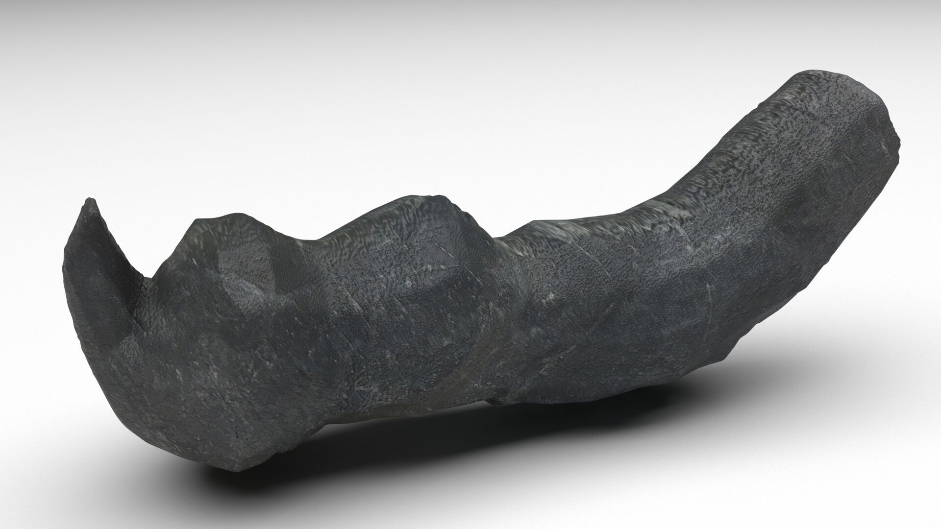 Dunkleosteus Tooth 3D model_2