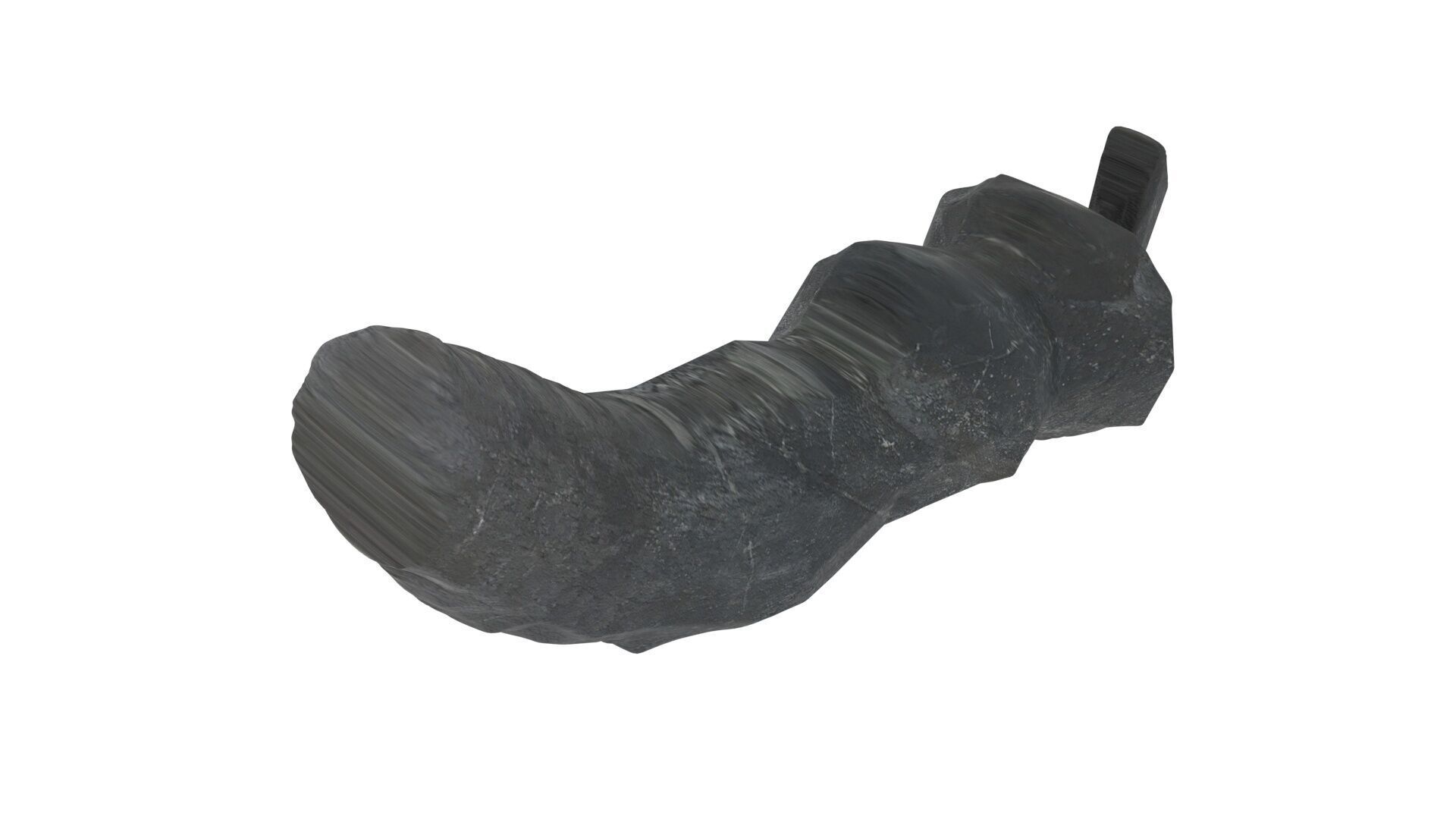 Dunkleosteus Tooth 3D model_7