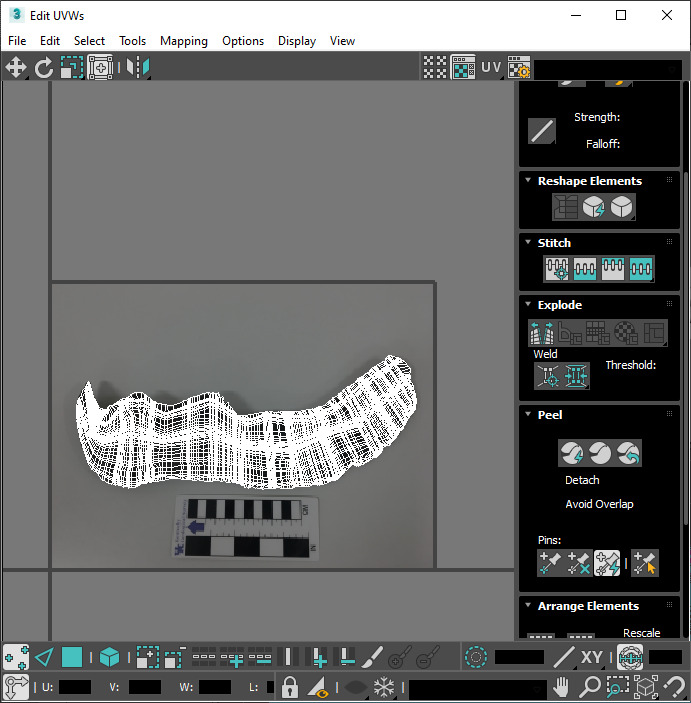 Dunkleosteus Tooth 3D model_33