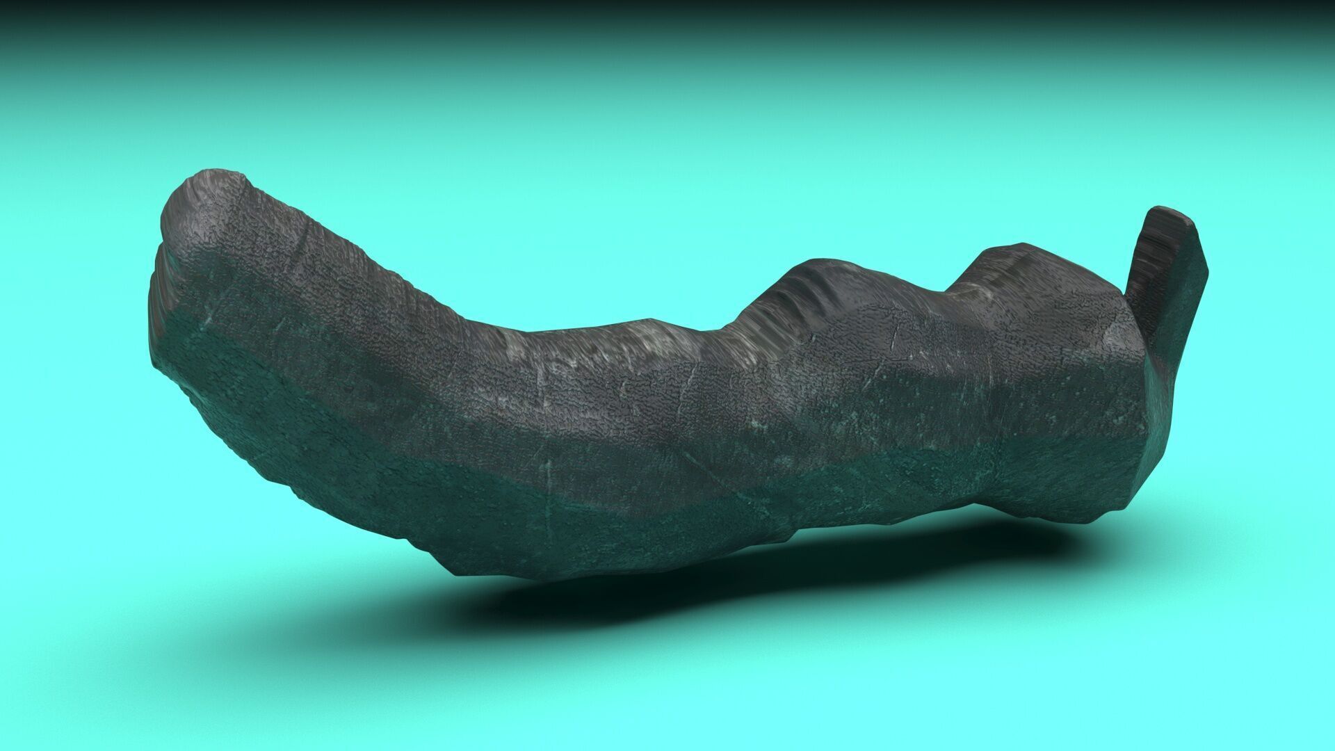 Dunkleosteus Tooth 3D model_5