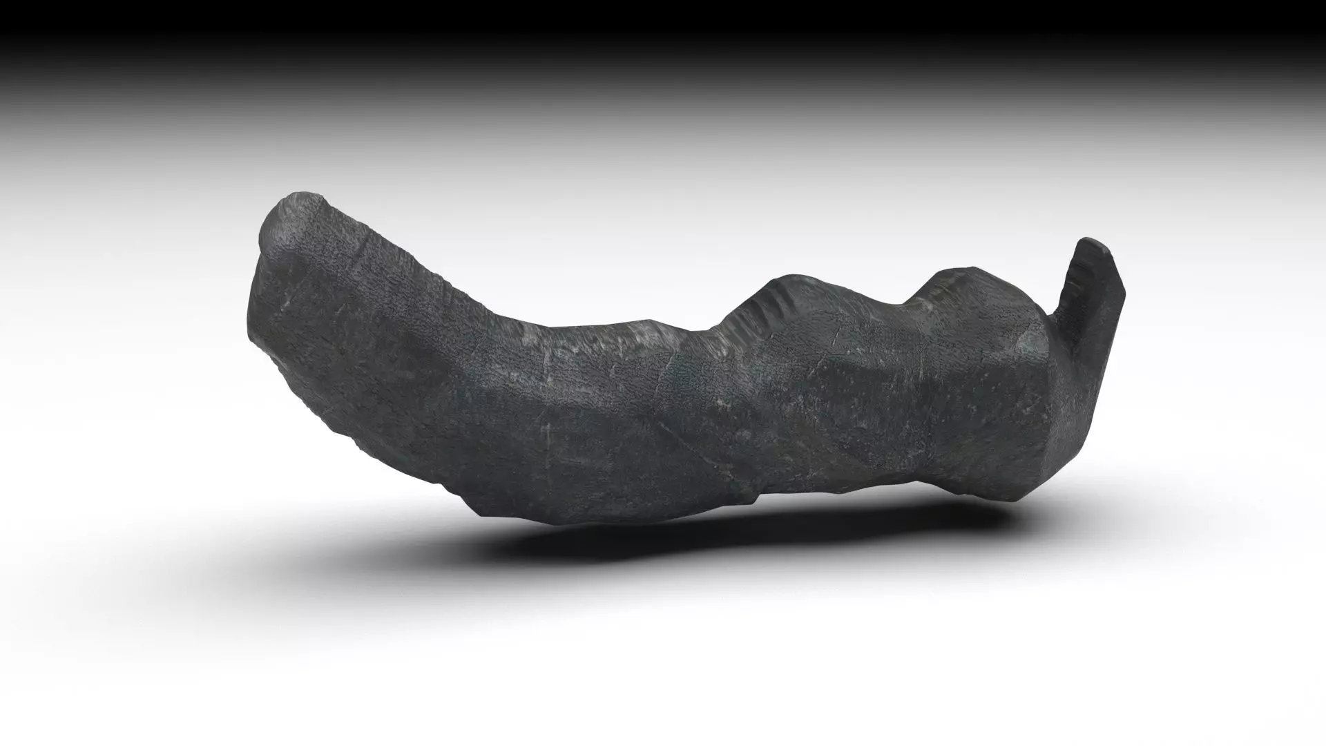 Dunkleosteus Tooth 3D model_0