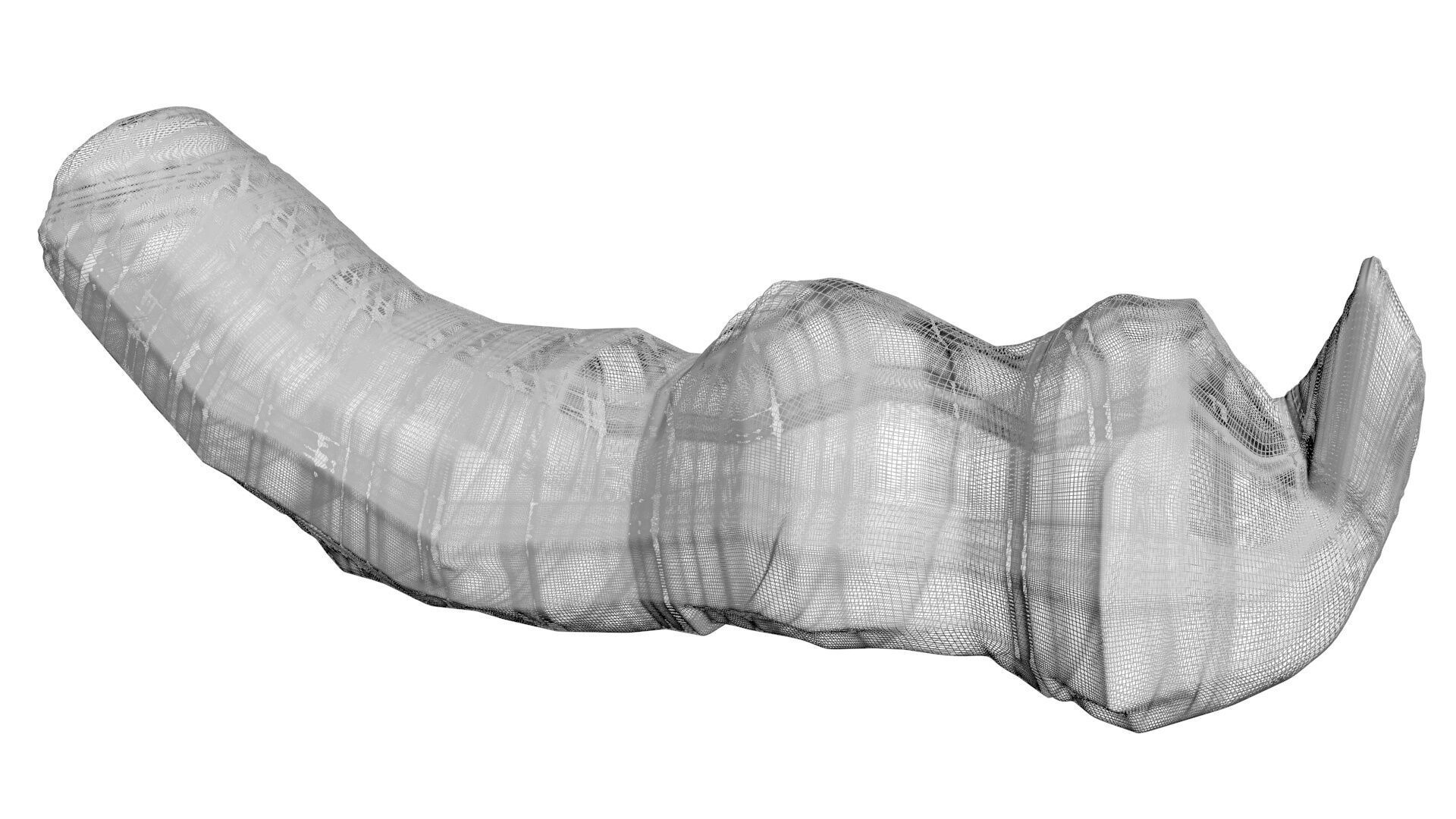 Dunkleosteus Tooth 3D model_20