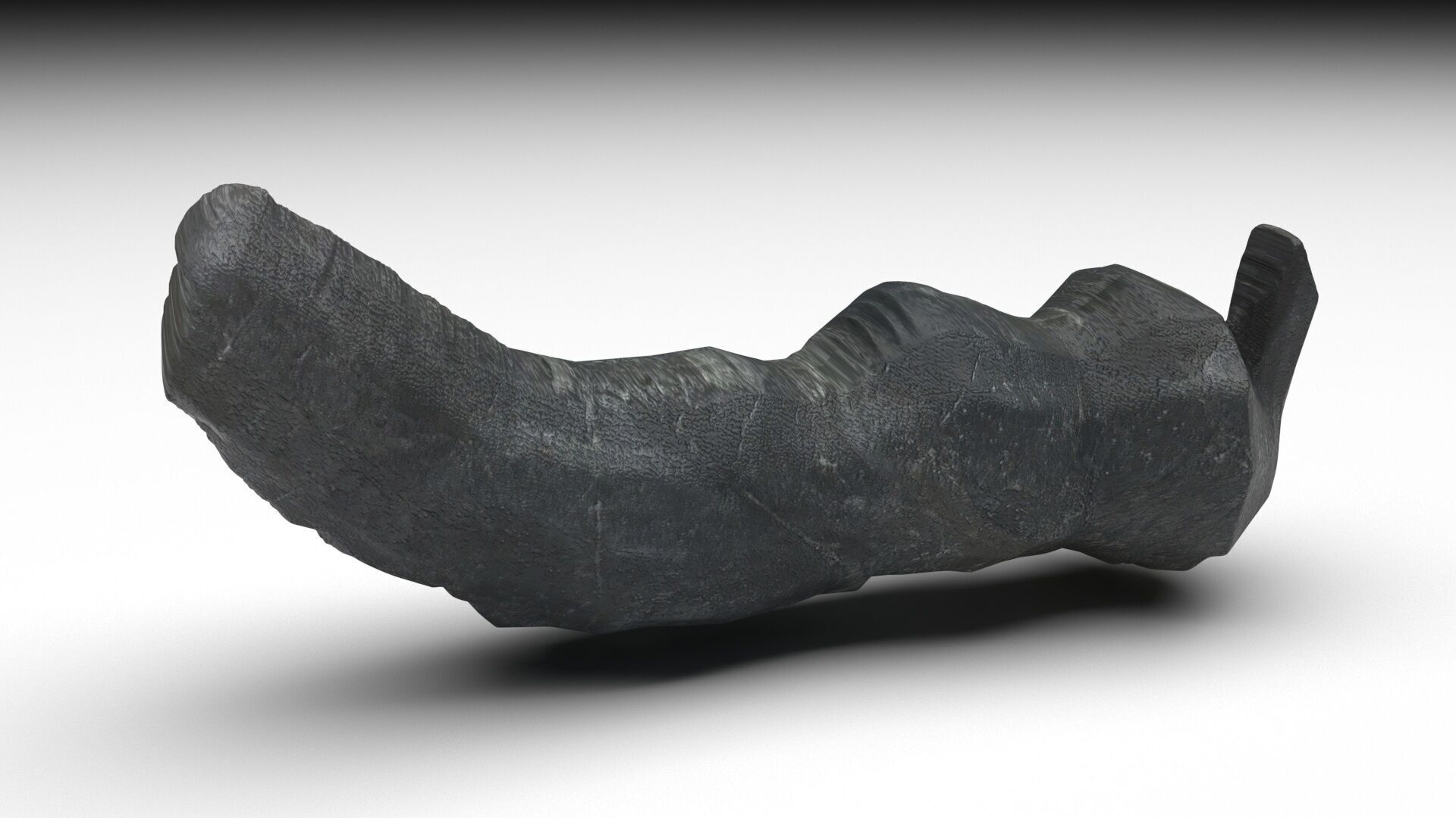 Dunkleosteus Tooth 3D model_4