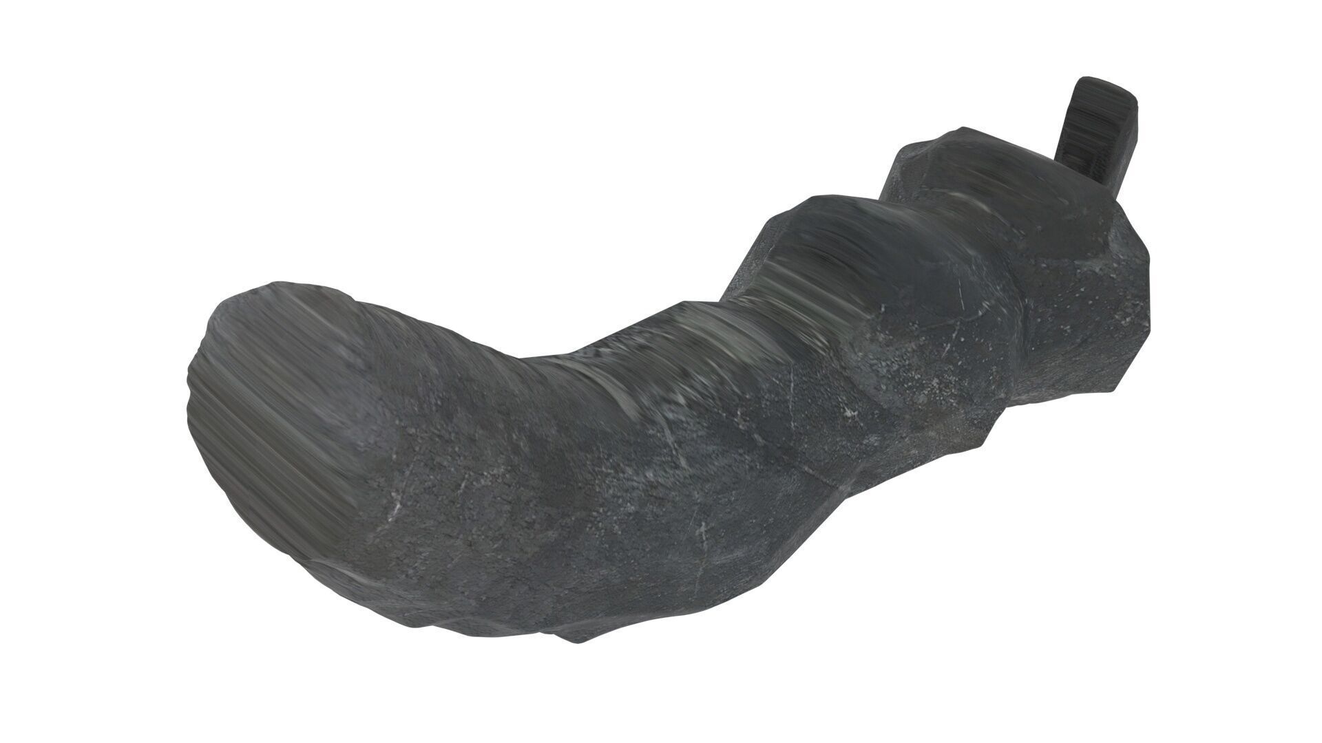 Dunkleosteus Tooth 3D model_12