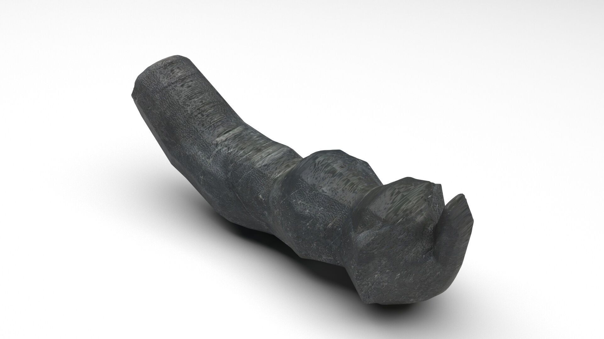 Dunkleosteus Tooth 3D model_1