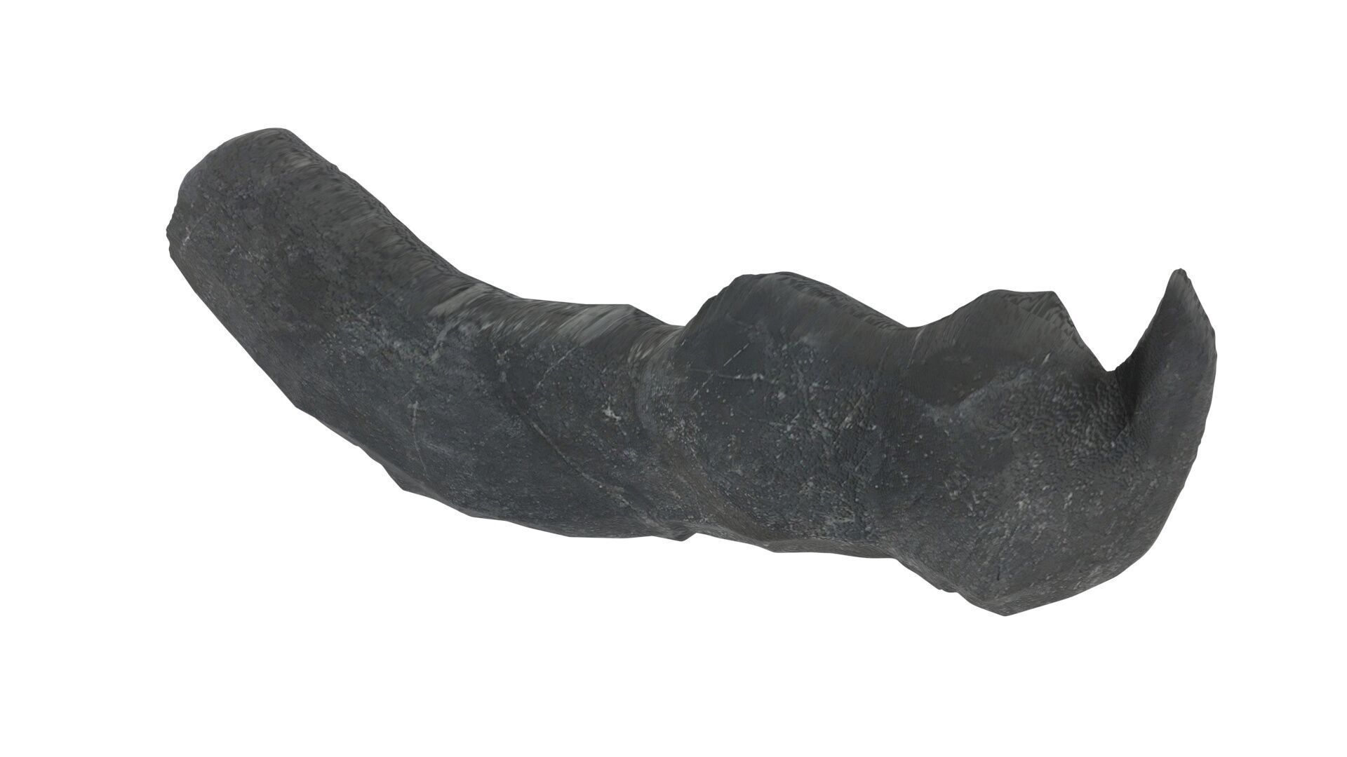 Dunkleosteus Tooth 3D model_8