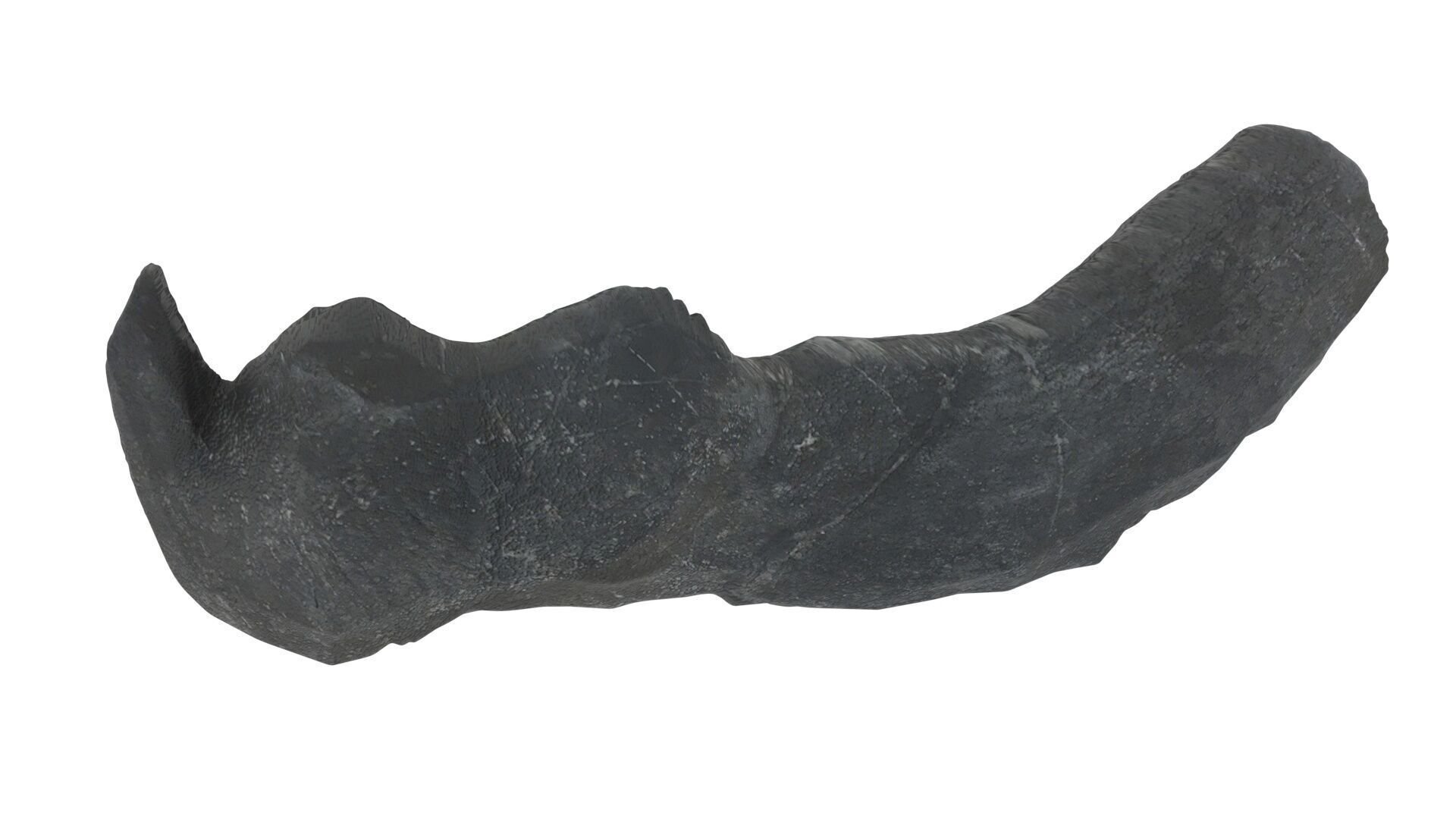 Dunkleosteus Tooth 3D model_9