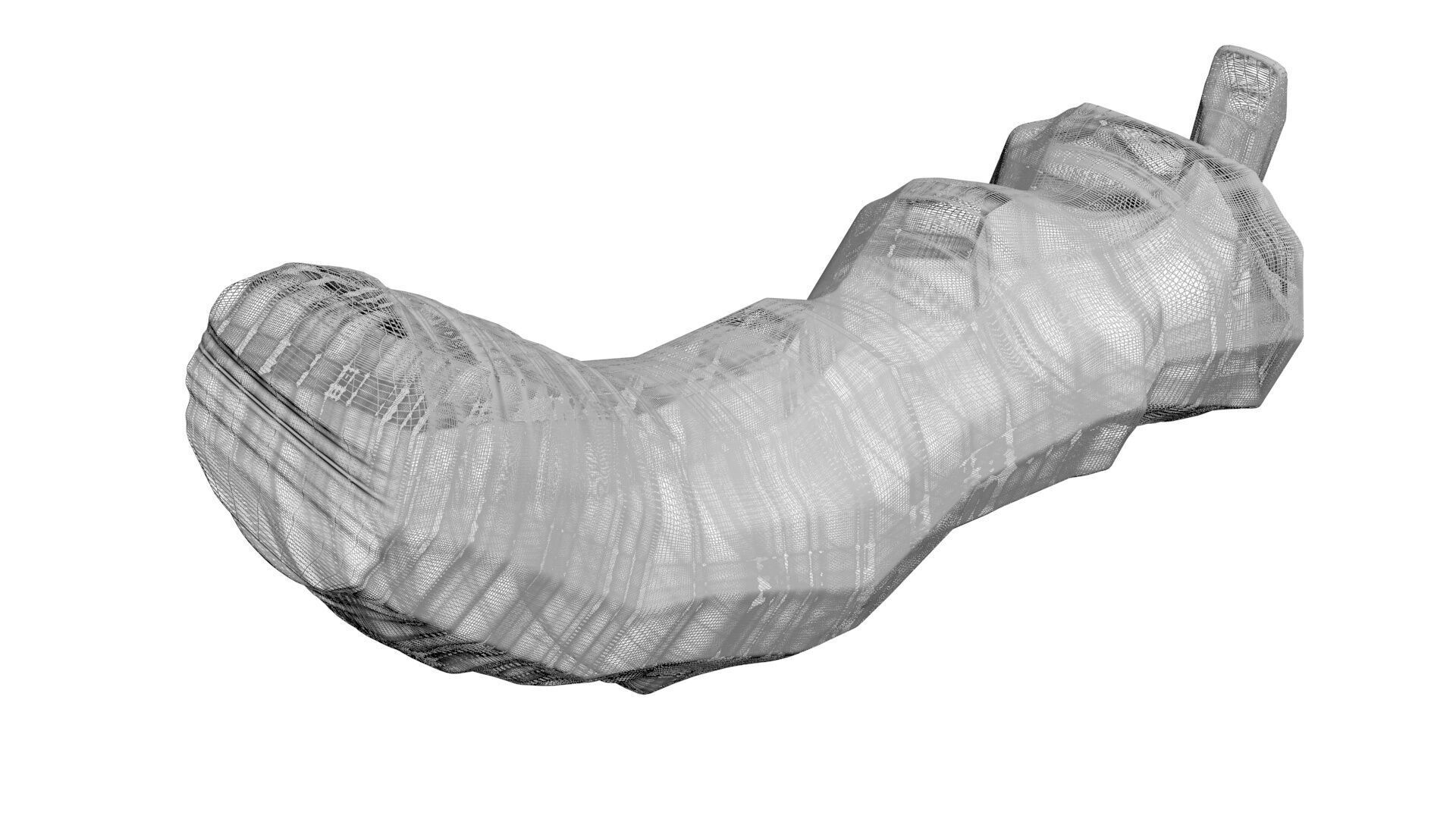 Dunkleosteus Tooth 3D model_24