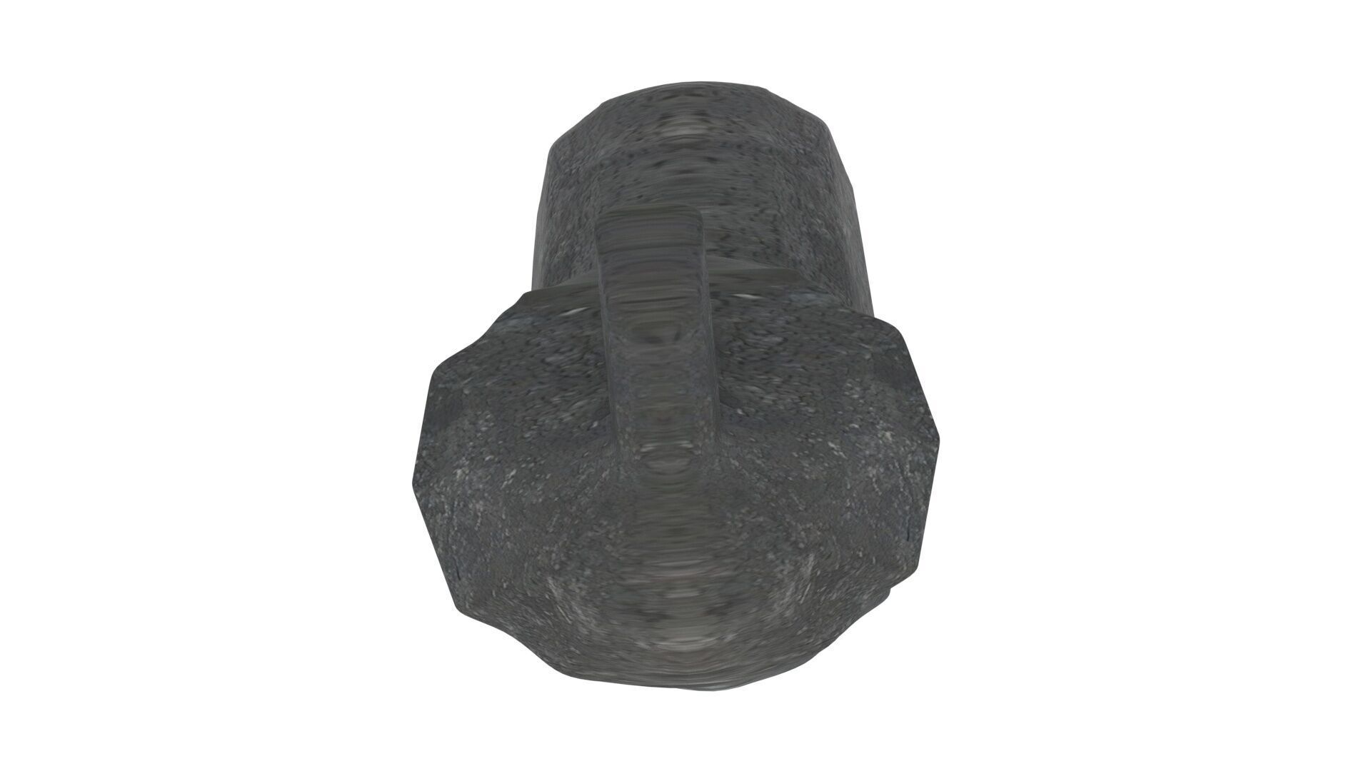 Dunkleosteus Tooth 3D model_18