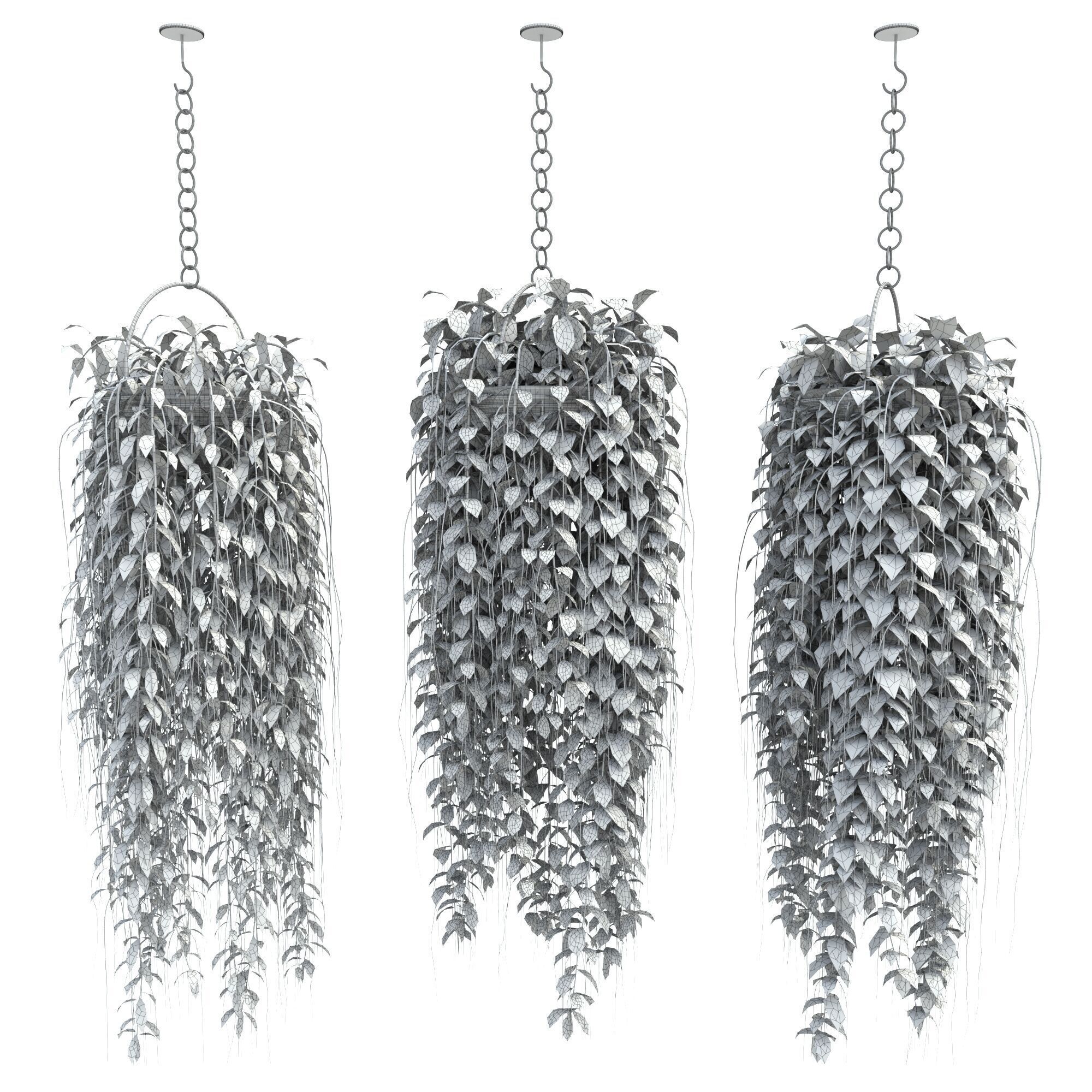 plants collection36 3D model_6