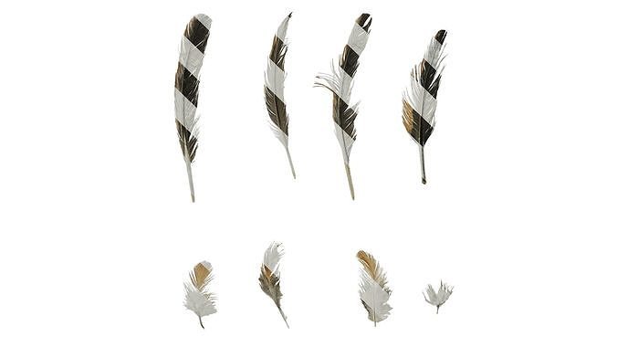 Anydrafts Chicken feather 04 Texture