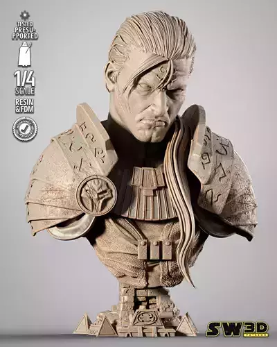 STAR WARS Exar Kun Portrait Bust 3D print model