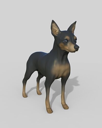 Pinscher miniatura 3D print model