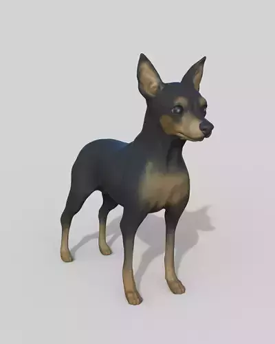 Pinscher miniatura 3D print model